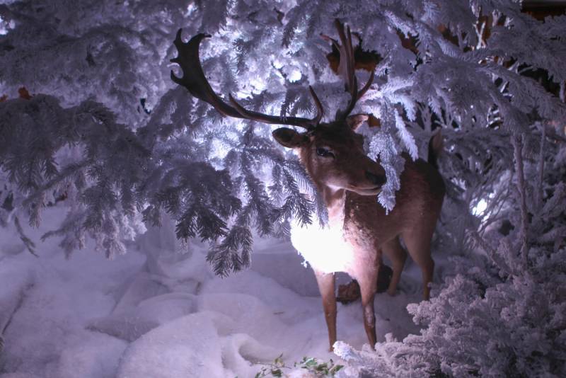 Christmas Magic At Vaux-le-Vicomte Private Tour