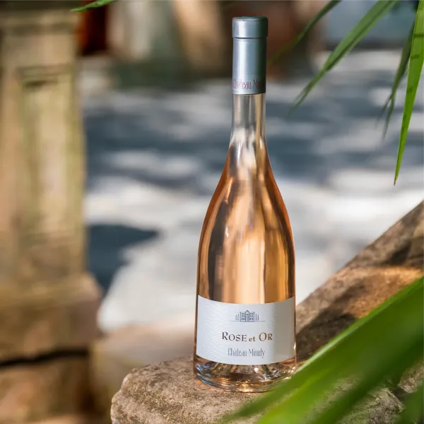 Saint Tropez Full Day Private Wine Tour