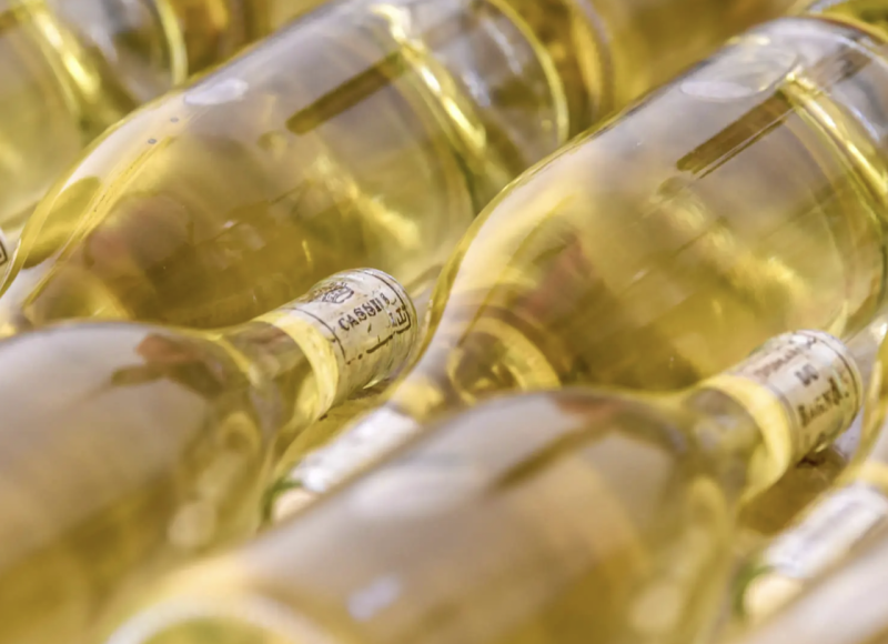 Cassis and Bandol Full Day Private Wine Tour